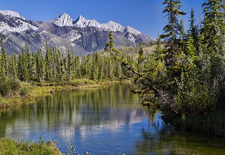 Travel Blog Travel blog stories from the road.