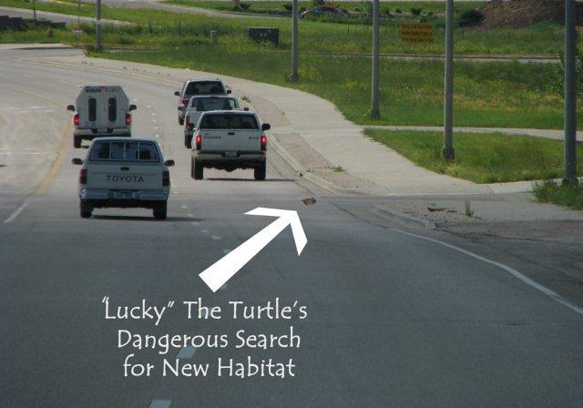 Lucky's Dangerous Journey