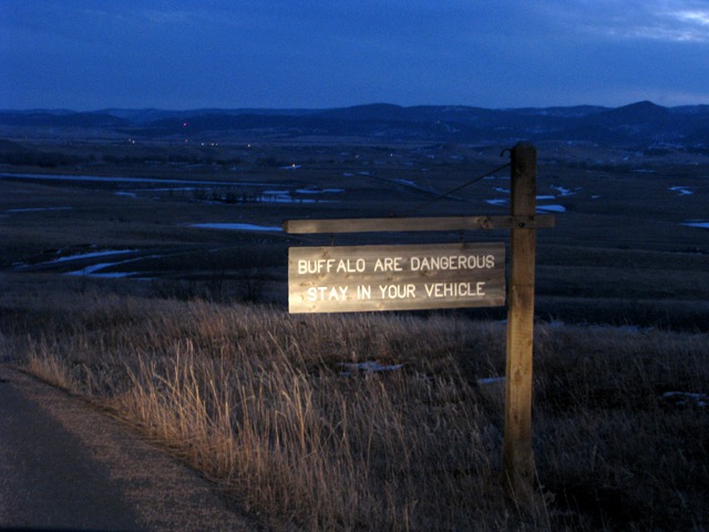 Bison Warning