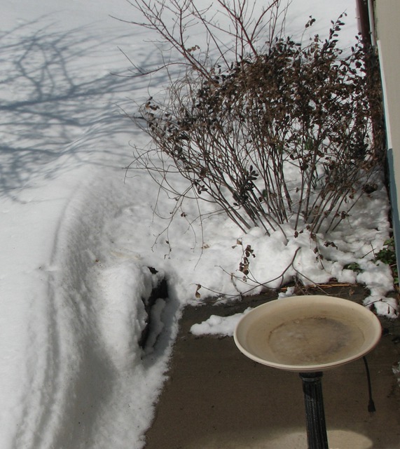 Big May Snow Drift in the Back Yard
