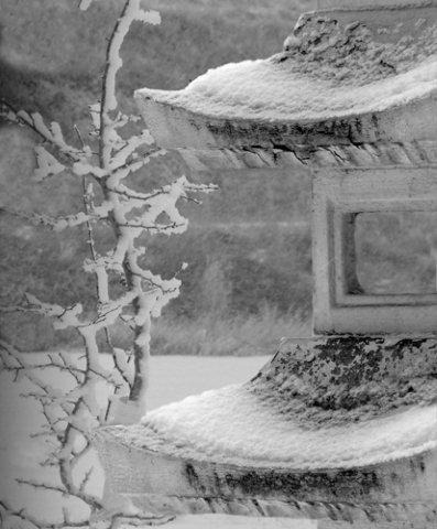 Frost Coats the Pagoda and Hawthorne
