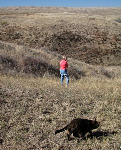 The Cat Hiker Pauses for the Snake Patrol to Scout the Route