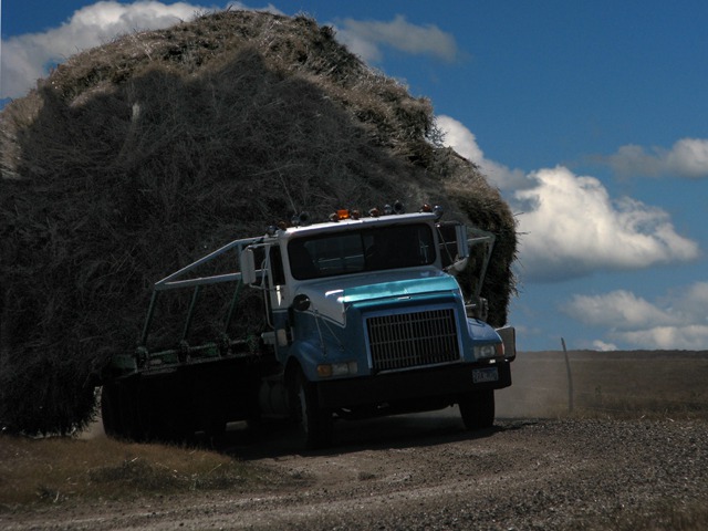 The Hay Wagon Monster Approaches