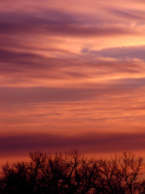 Pink Dawn Sky