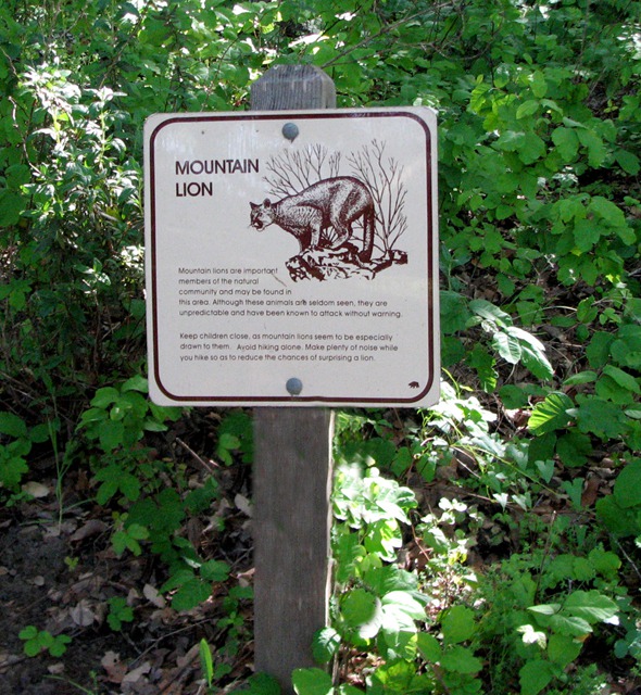 Sign of Mountain Lion