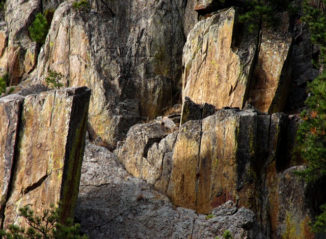 Levi's Granite Gateway