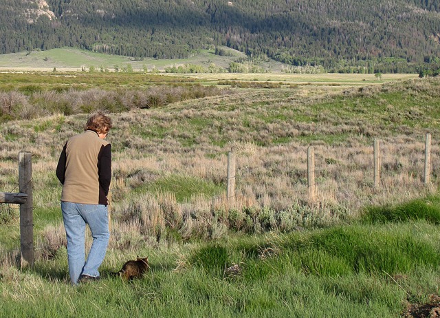 Furry Purry Takes a Very Closely Supervised Walk Near the Refuge's Mixed Habitat
