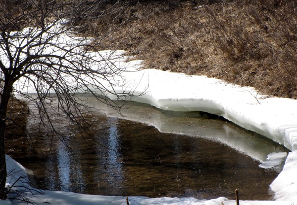 Thaw Hole in Beaver Creek