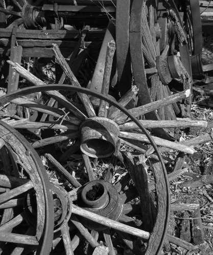 Fort Kearney Wagon Wheel Boneyard (black and white)