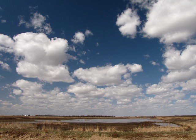 Funk Waterfowl Production Area Pond Near Funk NE (population 194)