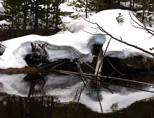 Snow Lingers on the Banks of the Gibbon River