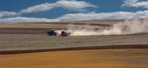 Agriculture Happening in the Madison River Valley MT