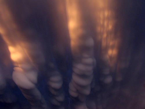 Mammatus Clouds with Sun Highlights