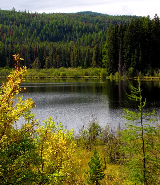 Lake in the Seeley Swan Valley