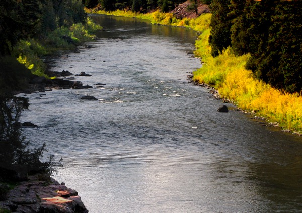 Low Light and Fall Color along the Blackfoot