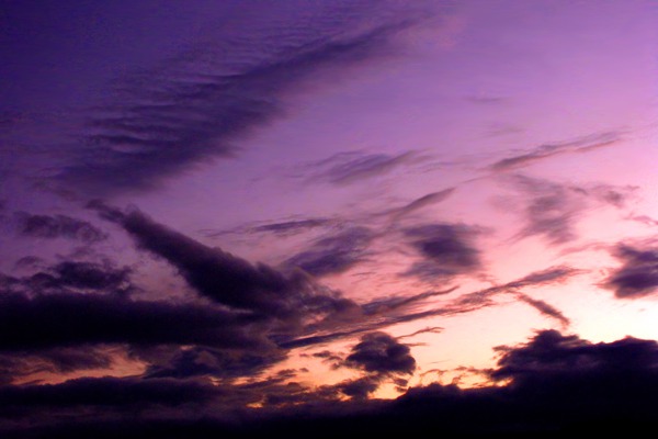 Afterglow Fire Bird in the Western Sky
