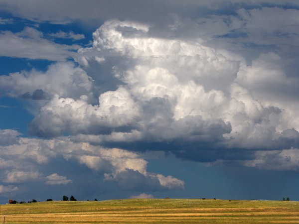 Cumulus over Harvested Field