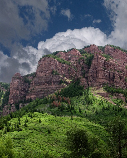 Red Cliffs and Aspens Near Redstone CO