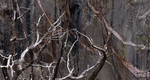 Near Pinon and Far Wall in Black Canyon of the Gunnison National Park CO