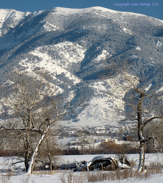 Old Baldy Framed by Twin Cottonwoods