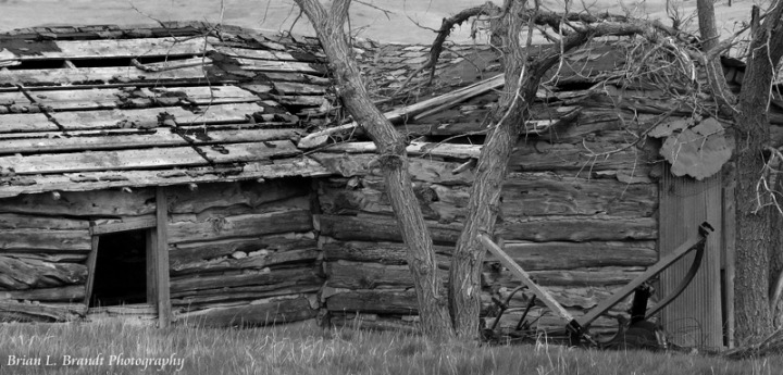 Homestead Cabin That Has Seen Better Days