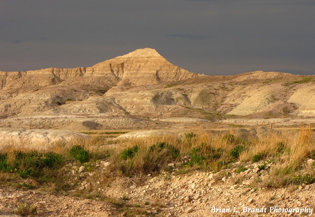 Prairie Grass Gets a Foothold Even in the Badlands