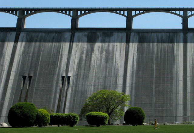 The Dam and Park Plantings