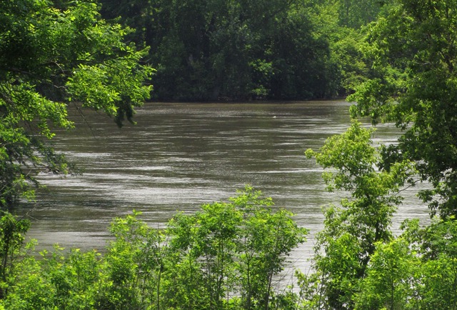 Minnesota River Through the Trees