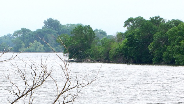 Oakwood Lake and Tree-Lined Shore