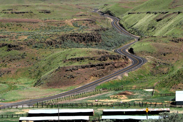 Road Past a Cattle Operation
