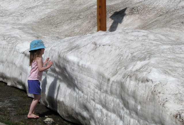 Munchkin Embraces A Snow Bank