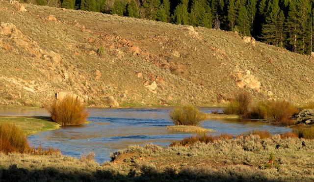 Big Hole River at Dusk
