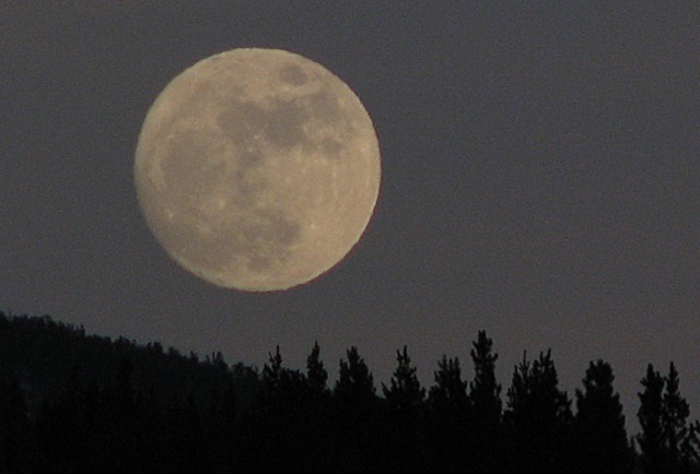 Mount Haggin Moonrise