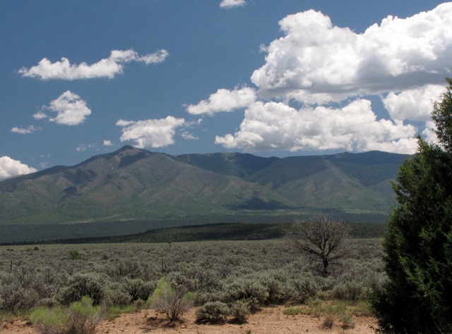 Drive Into the Wild Rivers Recreation Area NM