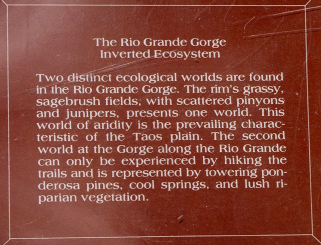 Ecosystem Explanation