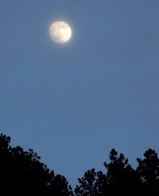 Icy Moon Rises Over Ridge Near the State Game Lodge