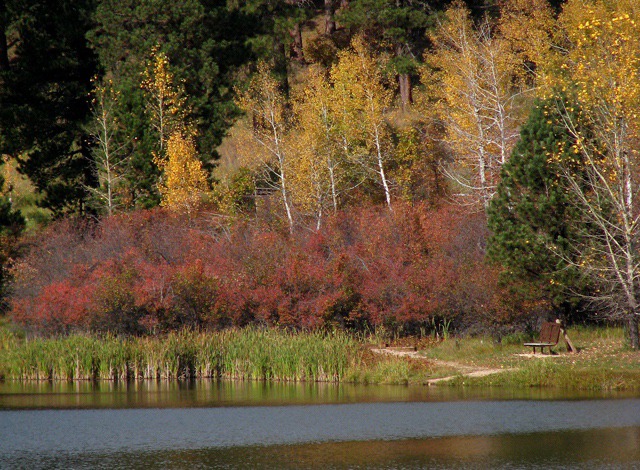 Lakeside Color in Low Sun