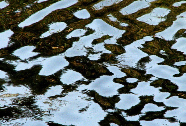 Wave Array at Day's End