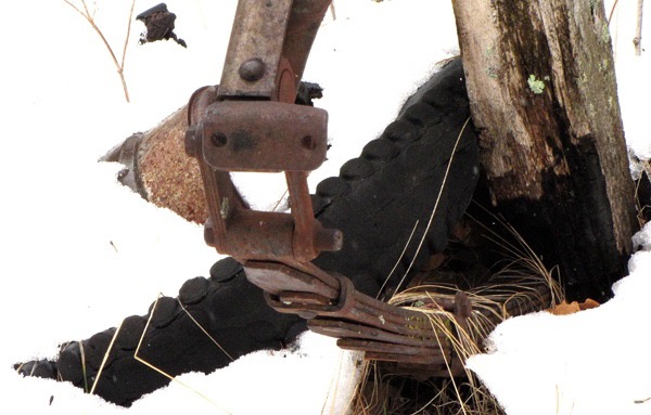 Spring and Old Tire