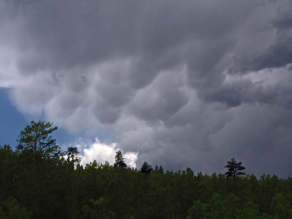 Mammatus Clouds over Black Hills National Forest SD