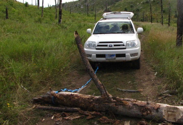 Road Block Log on Black Hills National Forest Road 718