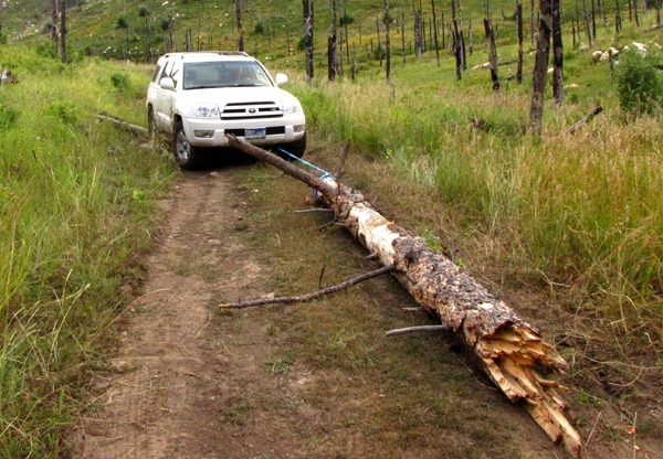 Road Block Log Swings Open on Black Hills National Forest Road 718