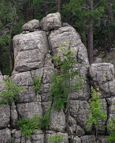 Canyon-Side Leaning Stone Lovers