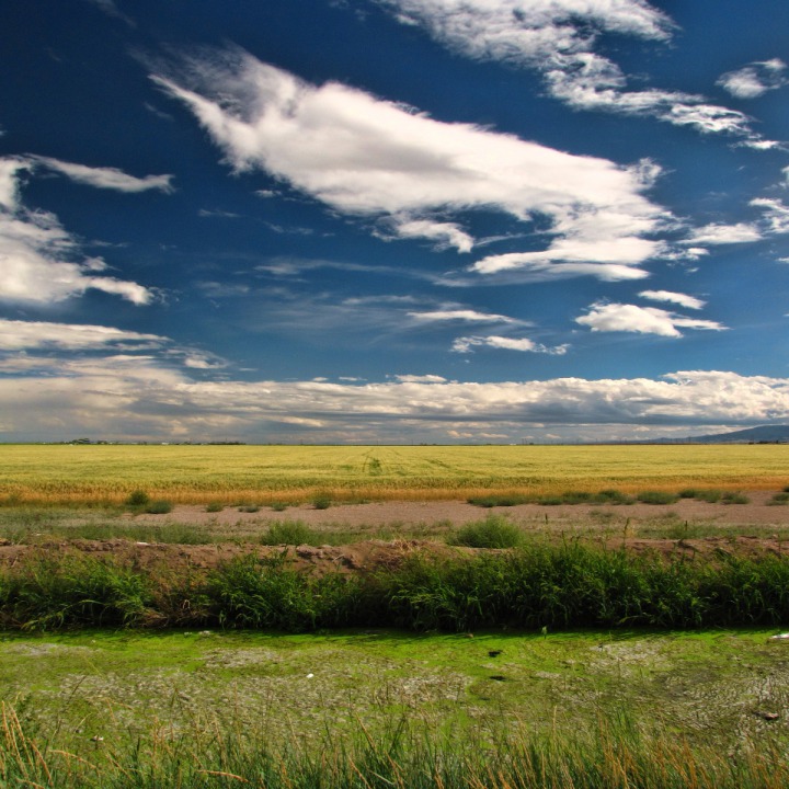 Broad San Luis Valley with Algae Ditch 