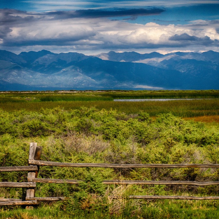 Looking Out Over the Russell Lakes State Wildlife Area