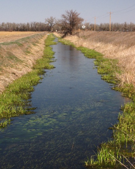On the Platte and In the Blind