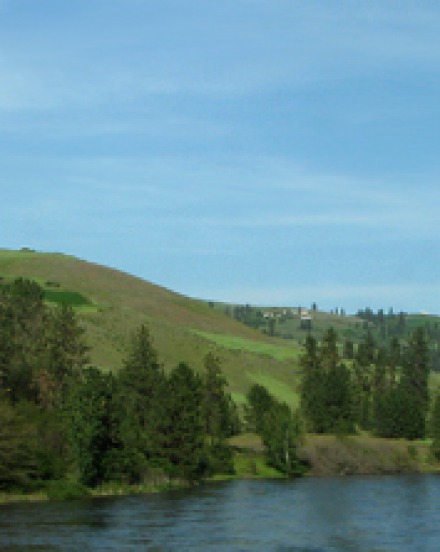 Up the Clearwater to Lolo Pass
