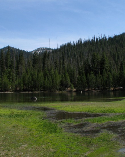 Over Lolo Pass to Bozeman