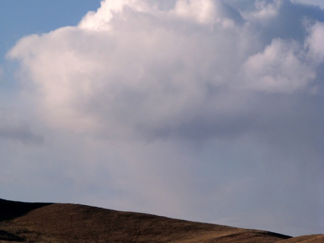 Custer State Park Wildlife Loop in March